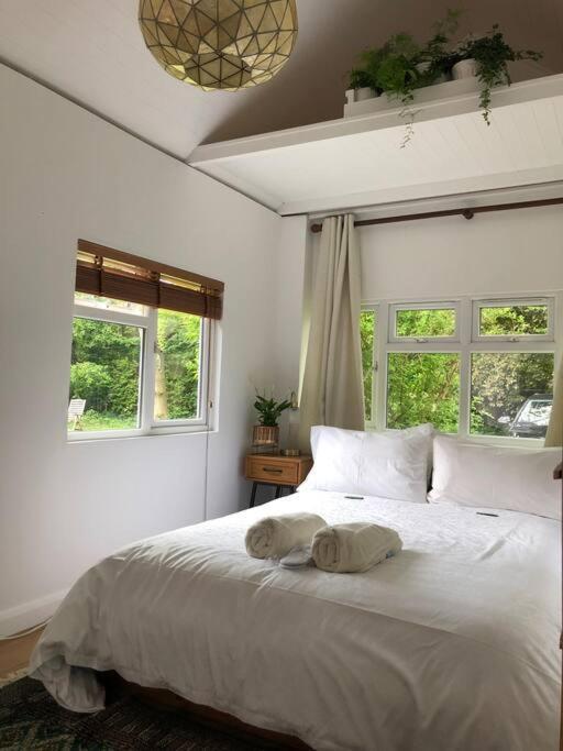 River Cabin Retreat シェパートン エクステリア 写真